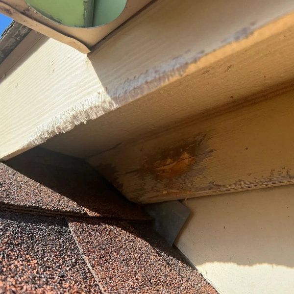 Close up of rodents chewing on the siding and sebum residue