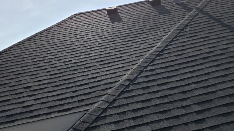 Close up of damaged manufacturer grade architectural shingles