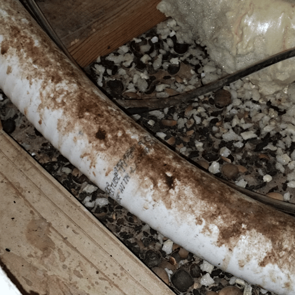 Close up rat sebum build up on plumbing