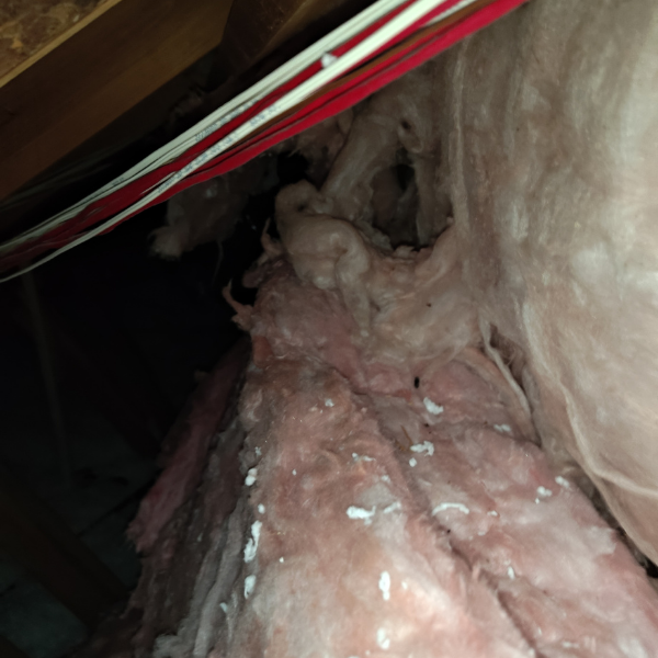 Close up view of visible trails left by rats in attic insulation showing rat rubs and urine