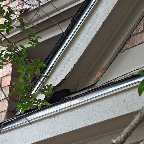 close up of rodent activity from the outside of the house near roof returns showing a large hole and chewing on the siding