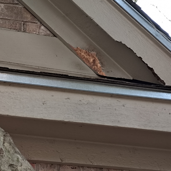close up of rodent activity from the outside of the house near roof returns showing a large hole and chewing on the siding